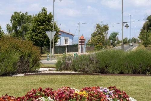 a park with flowers and a road in the background at La casa azul,una casa en la ciudad. in Logroño