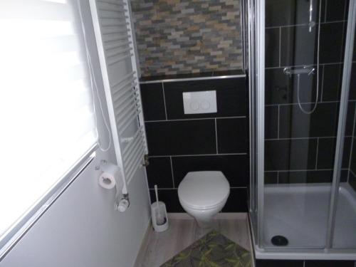 a small bathroom with a toilet and a shower at Ferienwohnung Stephanshausen in Stephanshausen