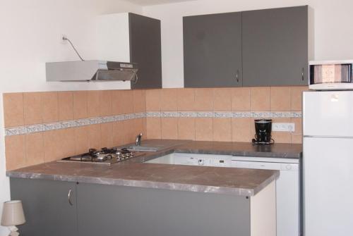 a kitchen with a sink and a white refrigerator at La goutte d'or in Roussillon