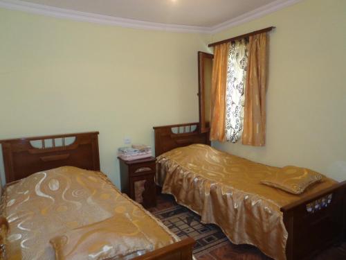 Cette chambre comprend deux lits et une fenêtre avec des rideaux. dans l'établissement Anush`s B&B, à Tatev