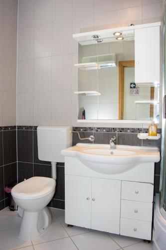 a bathroom with a sink and a toilet and a mirror at Apartments Sv. Jelena 2 in Pag
