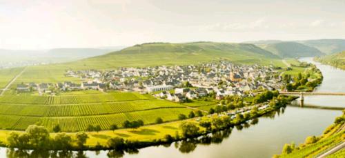 Fotografie z fotogalerie ubytování Ferienwohnung Bergblick v destinaci Trittenheim