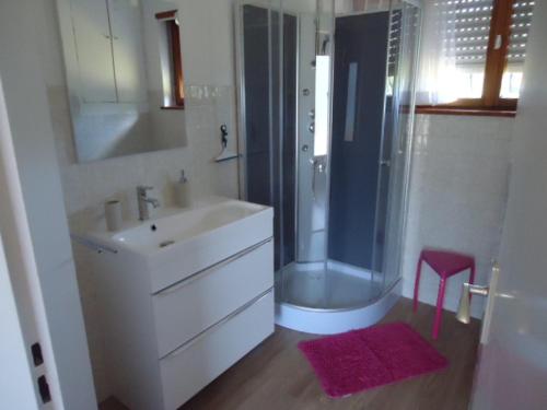 La salle de bains est pourvue d'un lavabo et d'une douche. dans l'établissement cottage pleine nature, à Wattwiller