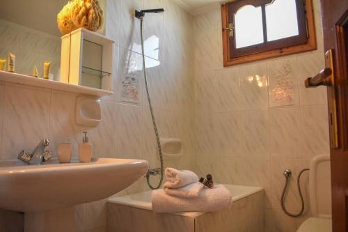 a bathroom with a sink and a toilet and a shower at Mayra Apartment in Lithakia