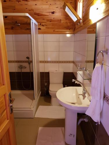 a bathroom with a sink and a toilet and a shower at Estelar Bungalow in Cıralı