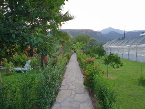 契拉勒Estelar Bungalow的相册照片