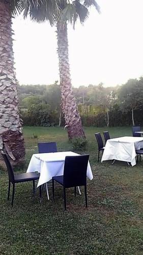 a group of tables and chairs with a palm tree at Maison d'O in Otranto