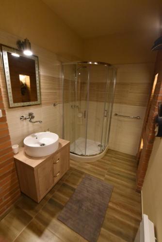 a bathroom with a sink and a shower at Cheetah Holiday Club in Vizovice