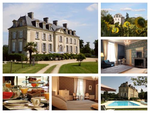 un collage de photos d'une demeure de caractère dans l'établissement Château La Mothaye - self catering apartments with pool in the Loire Valley, à Brion