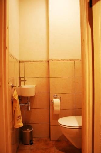 a small bathroom with a toilet and a sink at Apartments Landhaus Sonnheim in Lofer