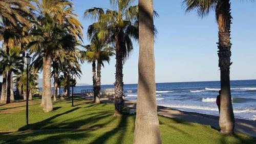 una playa con palmeras y el océano en En Marina D'Or primera linea real, en Oropesa del Mar