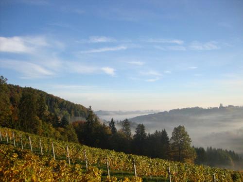 a view of a vineyard in the mountains with fog at Ferienhaus Weingut Bauer in Gamlitz