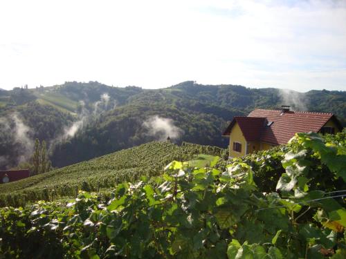 a vineyard in the mountains with a house on a hill at Ferienhaus Weingut Bauer in Gamlitz