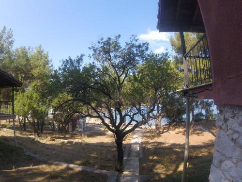 Фотография из галереи Rainbow Bay Ozdere Nature and Beach Hotel в Оздере