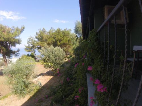 Сад в Rainbow Bay Ozdere Nature and Beach Hotel