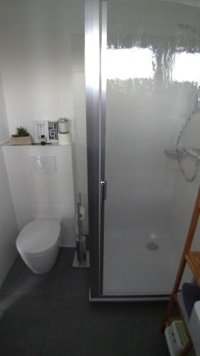 a bathroom with a toilet and a glass shower door at plattedijk 25-47 in Lemmer