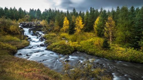 an aerial view of a river in a forest at Kaldá Lyngholt in Egilsstadir