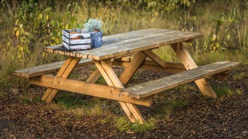 a wooden picnic table with a plant and books on it at Kaldá Lyngholt in Egilsstadir