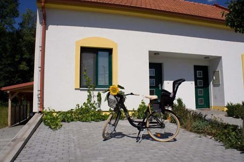 Ciclismo en Apartmány U Zámečku o alrededores