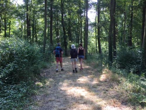 Photo de la galerie de l'établissement residence brainoise 2, à Braine