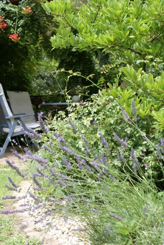 a garden with a chair and some purple flowers at Villa Letná in Brandýs nad Labem-Stará Boleslav