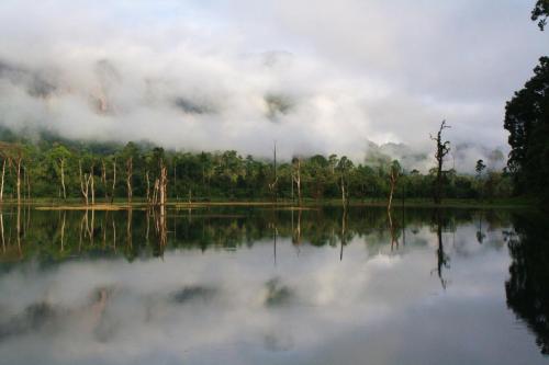 a view of a lake with trees in the background at Our Jungle House in Khao Sok