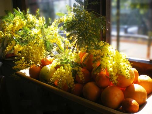 Gallery image of Bed and Breakfast Mimosa in Cascina