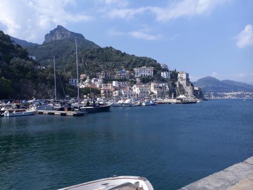 a group of boats docked in a harbor with a town at Casa Rosa appartamento con giardino in Cetara