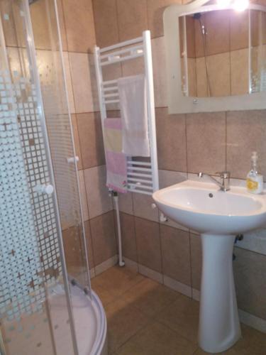 a bathroom with a sink and a shower with a mirror at Lip si Ely in Dâmbovicioara