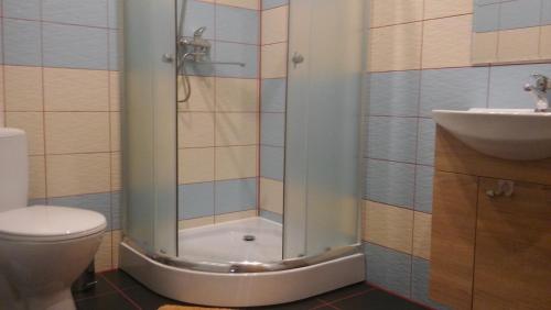 a bathroom with a shower and a toilet and a sink at Centra House in Rēzekne