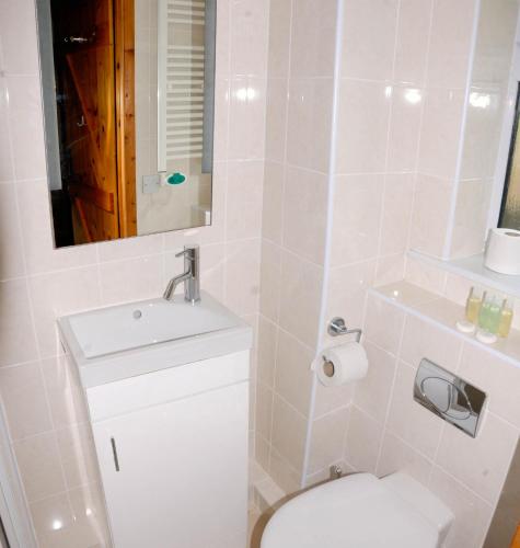 a bathroom with a toilet and a sink and a mirror at Greyfield Farm Cottages in Farmborough
