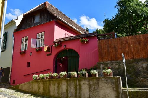 a red house with potted plants in front of it at Pensiunea Cristina si Pavel in Sighişoara