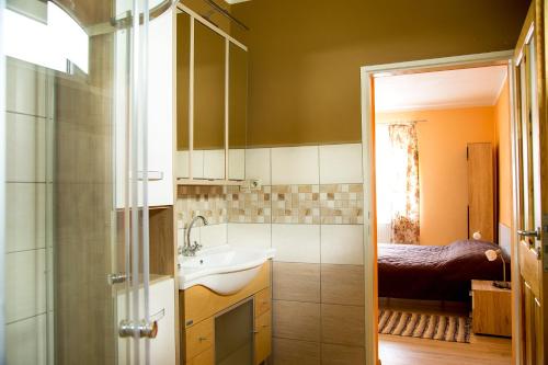 ein Bad mit einem Waschbecken, einer Dusche und einem Bett in der Unterkunft Ubytovanie u Anny in Banská Štiavnica