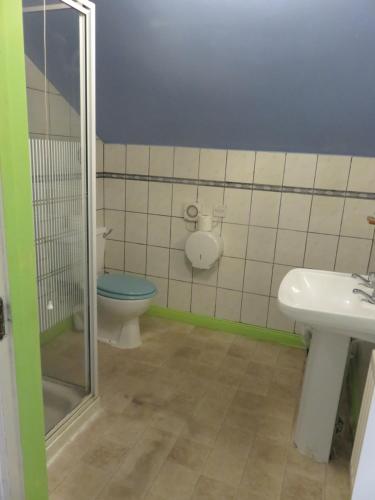 a bathroom with a toilet and a sink at Finn McCools Giants Causeway Hostel in Bushmills