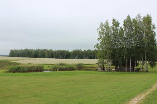 a large green field with a tree and a pond at Sodyba Vieversynė in Duokiškis