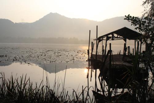 a dock on a lake with ducks in the water at Bed and Breakfast La Quiete in Arcugnano