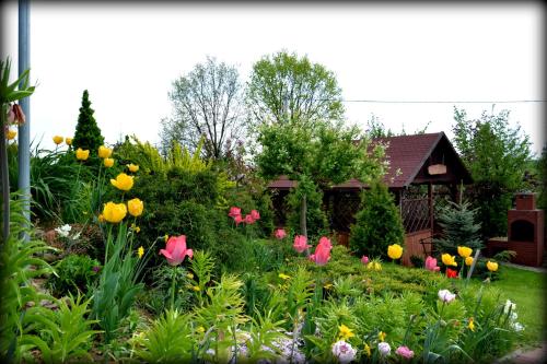a garden with colorful flowers in front of a house at Agroturystyka ZIELONA ZAGRODA w Kosztowej in Dubiecko