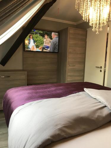 Televisyen dan/atau pusat hiburan di Apartmenthaus Burgenheimat in Rhens bei Koblenz