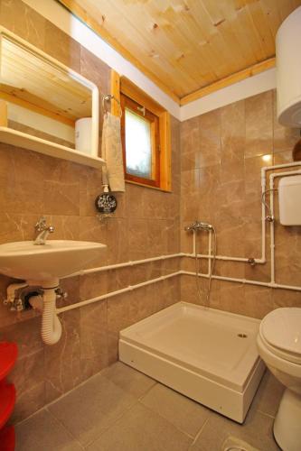 a bathroom with a sink and a toilet at Malo selo Bojanovići in Golovo