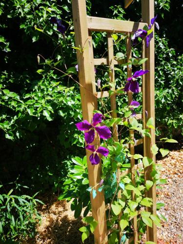 a bunch of purple flowers on a wooden fence at La Nouvelle Criqueboise in Criquebeuf-en-Caux