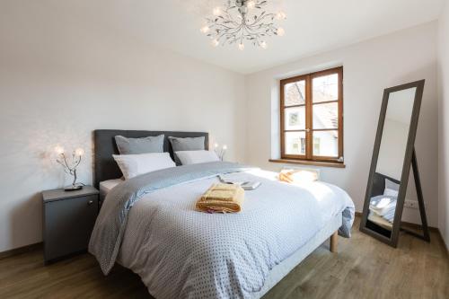 羅塞姆的住宿－Gîte " Au Coeur de la Cité Romane "，一间卧室配有一张床、镜子和吊灯