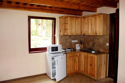 a kitchen with wooden cabinets and a white microwave at Zawoja Chaty Górskie D3 in Zawoja