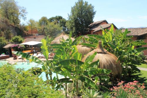 a resort with a pool and some plants at Antica Pietrara B&B in Formello