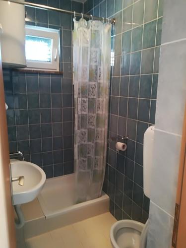 a bathroom with a shower and a sink and a toilet at Apartman JURJEVIĆ in Barić Draga