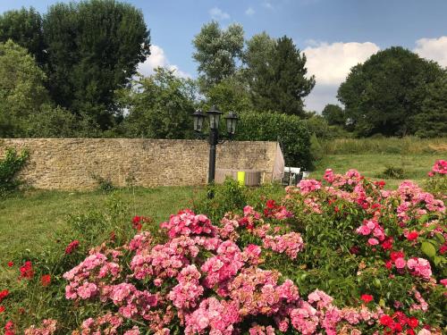 a garden with pink flowers and a street light at La Source in Breuil