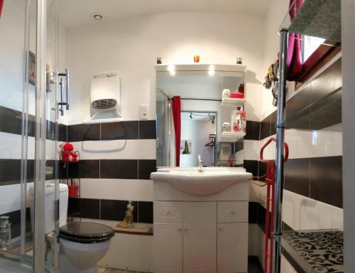 uma casa de banho com um lavatório e um WC em L'Oustalet em Sisteron
