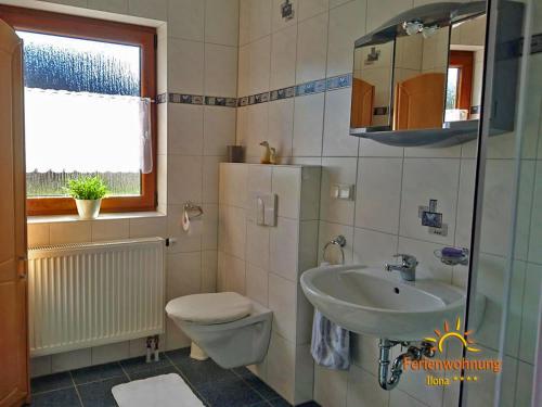 Baño pequeño con lavabo y aseo en Ferienwohnung Ilona, en Zweibrücken