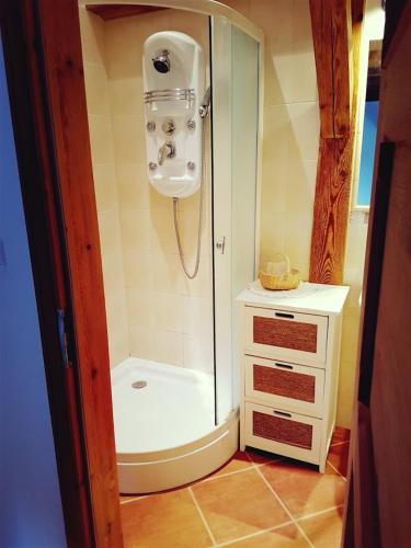 a bathroom with a shower and a sink at Komblówka in Marcinowa Wola