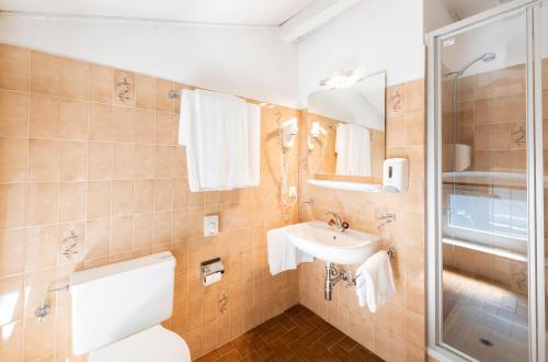 Koupelna v ubytování Albergo Ristorante Svizzero