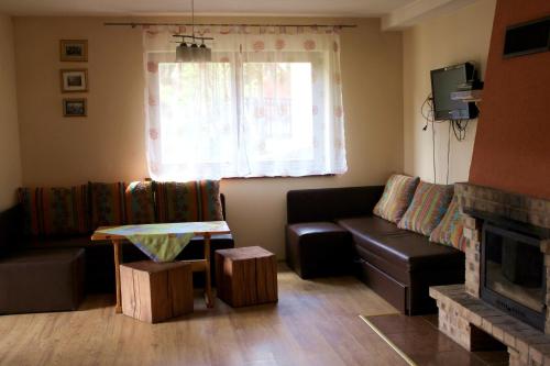 - un salon avec un canapé et une cheminée dans l'établissement Zawoja Chaty Górskie D5, à Zawoja